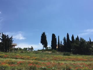 Picturesque Villa in Sciacca with Sea View and Garden - 1