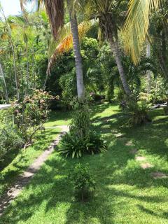 Studio cosy à Boucan Canot, 30 m² avec jardin privé - 7