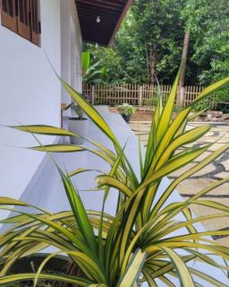 Thepu Villa - 5