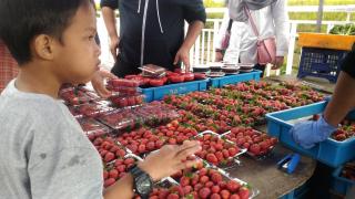 DreamScape Apartment @ Golden Hill - 2