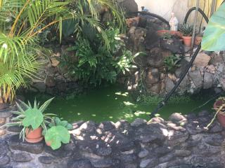 Studio charmant à Basse Terre, vue sur jardin, 15 m² - 2