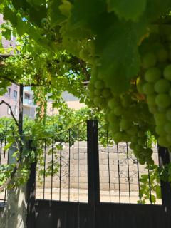 House in Tirana - 1