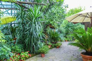 Cosy Apartment in Sorrento – 35 m² with Sea View - 4