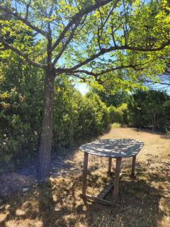 Charmante maison climatisée avec jardin - 4