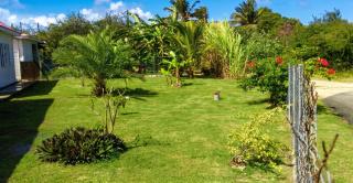 Maison accueillante à Anse-Bertrand avec jardin privé 70 m² - Anse-Bertrand - 2
