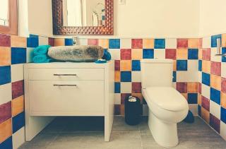 Charming house in Cañamero with shared pool - 5