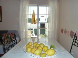Charming house in Vila Nova de Cacela with garden - 2