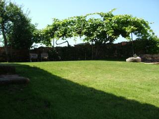 Charming House in Parada + Fireplace - Parada - 5