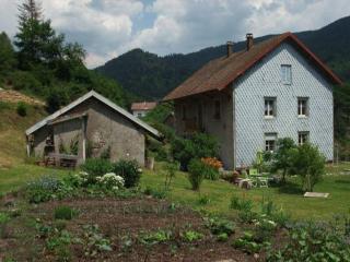 Appartement charmant à Plancher-les-Mines, cheminée, 90 m² - 0