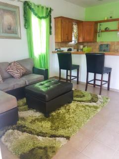 Charming Apartment in La Savane, 65 sqm with Terrace - Happy Bay - 5