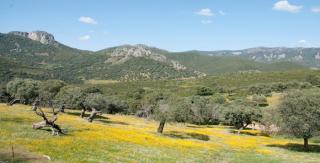 Cosy house with mountain view - Cañamero - 3
