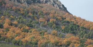 Cosy house with mountain view - Cañamero - 1
