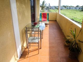 Charming Apartment in Pamplemousses, 30 m² with Garden View - 9