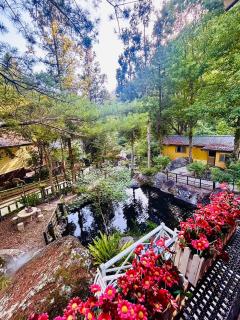 山蘇的故鄉-森林溪秘境桃園市民宿130號 - 0