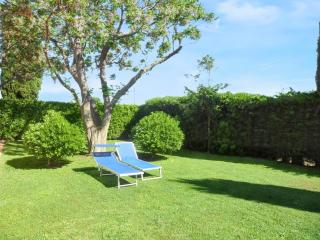 Comfortable House in Pescia Romana - 2