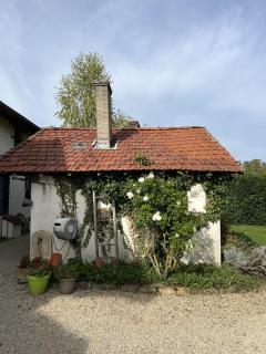Studio - Le Saule - 2