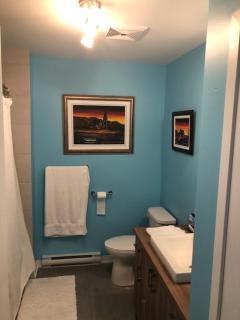 Luxurious Apartment in Brossard with Terrace - 1