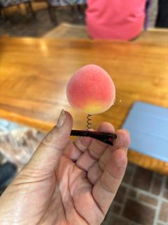 山蘇的故鄉 桃園市民宿130號 - 2