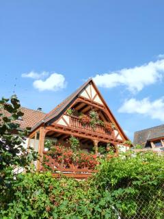 Maison charmante avec vue sur la montagne à Triembach-au-Val - 0