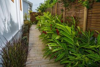 Maison cosy avec jardin à Anse-Bertrand - Anse-Bertrand - 9
