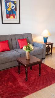 Cozy apartment with garden in La Savane 75 m² mountain view - 7