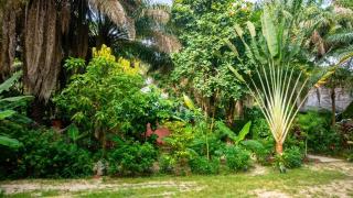 Charming house with private pool in Cap Skirring - 3