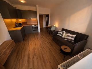Apartmán 16 s balkónom v Dome Patris - 8