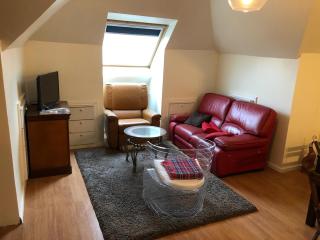 Appartement cosy à Sannois de 110 m² avec jardin clôturé - 9