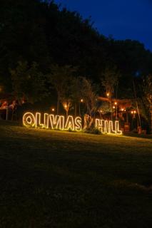 Padel Olivia's Hill Resort - 4