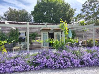Vine View Lodge near Ledbury - 9