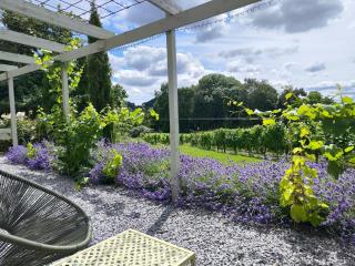 Vine View Lodge near Ledbury - 6