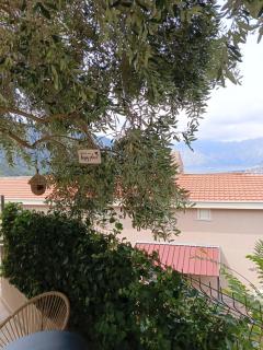 Studio Verde with swimming pool - 1