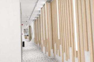 Bird Nest Suites - 7