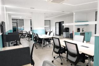 Bird Nest Suites - 3