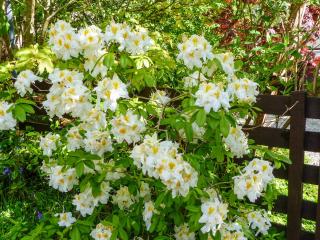 Bo Nan Taigh Cottage - 5