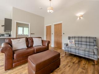 Dwrgi - Uk32923 - 6