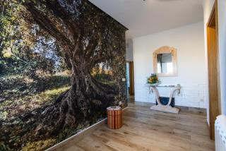 Casa De Campo Das Oliveiras - 7