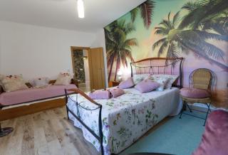 Casa De Campo Das Oliveiras - 6