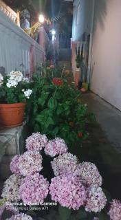 Apartmani Šušanj - 5