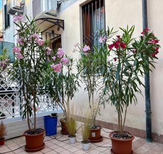 Casa Giardini - 9