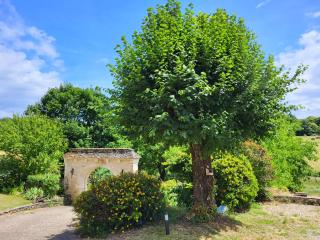 Domaine de Bagnegrole - 9