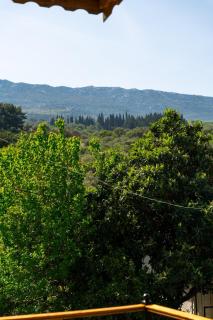 Stone Villa & Private Pool in an Orchard - Aegean Retreat - 3