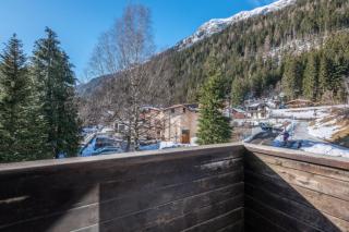 Beautiful Apt near the Grands Montets slopes - 7