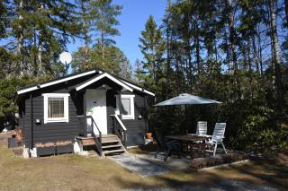 Cozy cottage in a forest setting, a 5-minute walk to the sea - 4