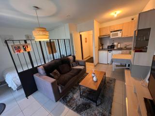 Grand Studio, coin nuit séparé, terrasse et garage privatif - 1