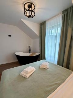 Cabana din Deal Rona - 6