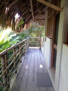 Guarumbo - 1