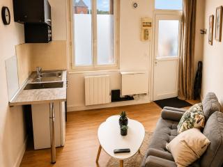 T2 proche CHU Rouen & Cliniques Park Gratuit - 0