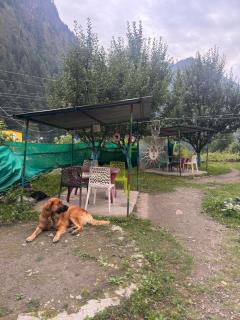 Apple Garden - 1