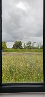 Uitrusten in de natuur bij Zutphen - 2